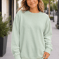 ILTEX Apparel Adult Clothing Sage Green / Small Adult Cotton-Feel Polyester Sweatshirt | 17 Colors